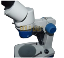 ESTEREOSCOPIO BINOCULAR SEM ZOOM - AUMENTO 20X, 40X