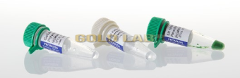 EASY TAQ DNA POLYMERASE (5 U/UL) - 500U