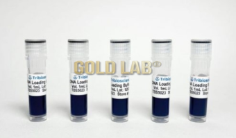 GEL LOADING BUFFER - 1 ML