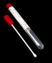 SWAB H. PLASTICA SEM MEIO EM TUBO EST. INDIV. C/100
