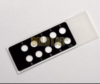 PONTEIRA 0 A 10ML C/100 TIPO GILSON TIPO 2