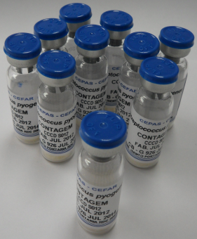 CEPAS ESCHERICHIA COLI CCCD E003 C/1ML