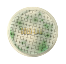 CALDO M-GREEN PARA LEVEDURAS E BOLORES EM AMPOLAS DE 2ML C/50