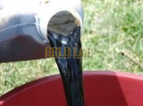 ACADIAN – ADUBO DE ALGA MARINHA LÍQUIDO - 1L
