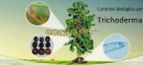 FUNGO TRICHODERMA ADUBO ORGÂNICO E CONTROLE BIOLÓGICO - 1L