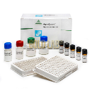 TESTE AGRAQUANT DEOXYNIVALENOL ELISA 250-5000 PPB Nº.POÇOS 96