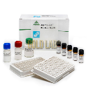 TESTE AGRAQUANT ZEARALENONE ELISA 25-1000 PPB Nº.POÇOS 96