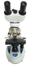 MICROSCÓPIO BIOLÓGICO BIOCULAR