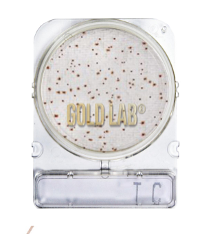 KIT COMPACTDRY TC (CONTAGEM TOTAL). 4PL/ PCT